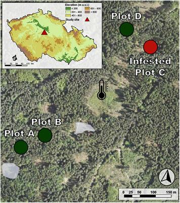 Physiological and biochemical indicators in Norway spruces freshly infested by Ips typographus: potential for early detection methods